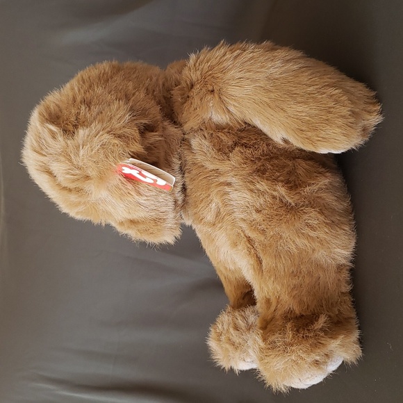 NWT Dumpling 🐻 Ty Vintage Classic Plush Teddy Bear 🧸 Collectible, PVC pellets - Picture 3 of 11
